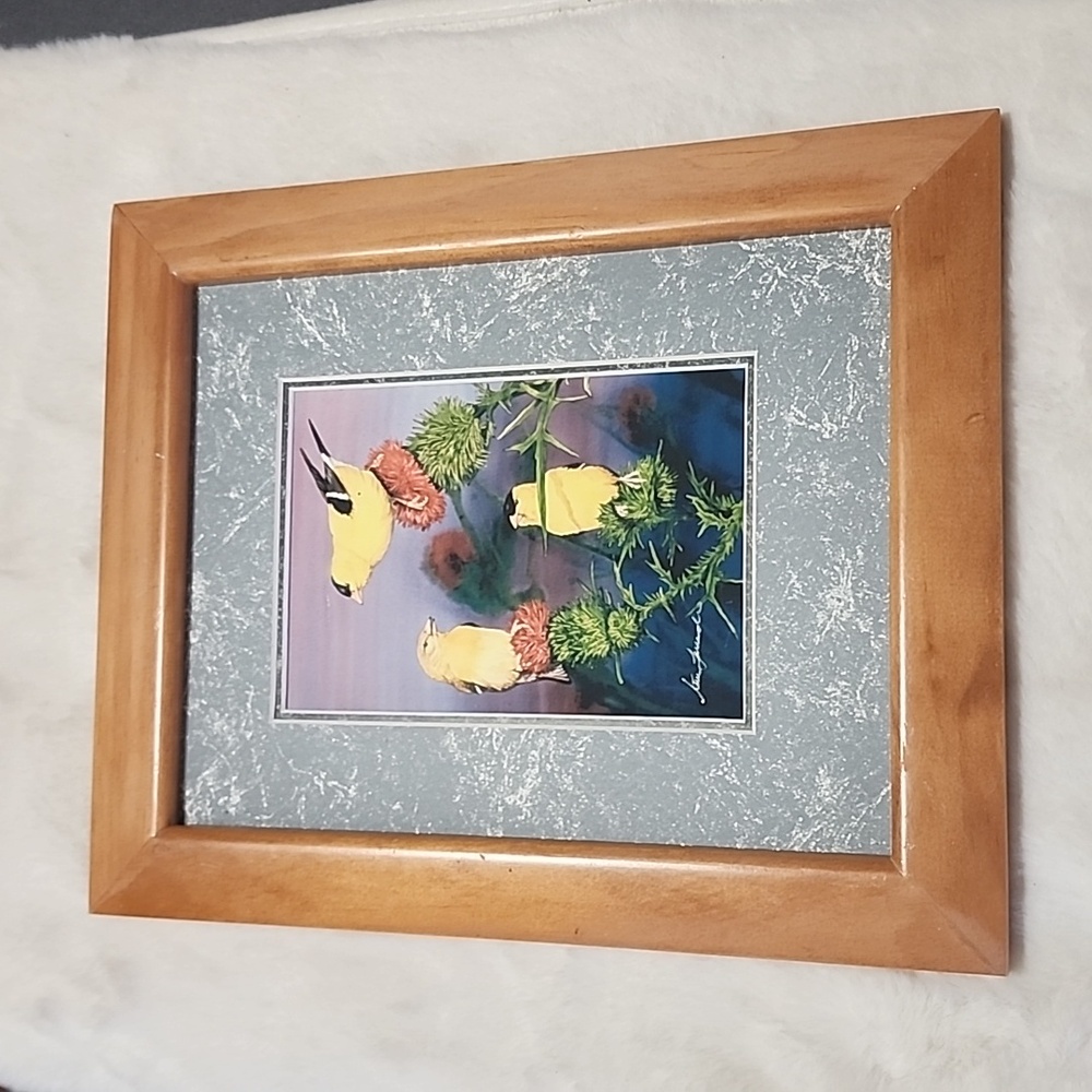 FINCHES  BIRD MATTED  FRAMED PHOTO  WALL HANGING.